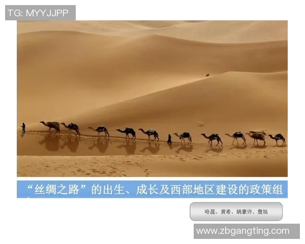 舒城姚明珠的故事与传承:探寻这位杰出人物的成长与成就之路