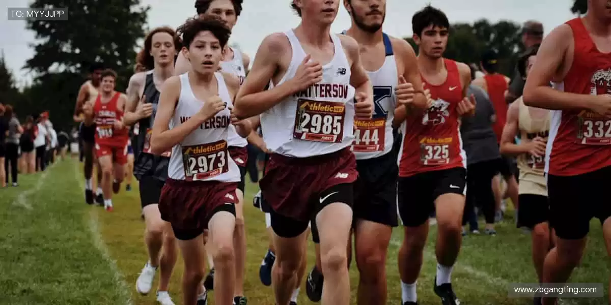 💻🎯 无插件直播,画质堪比现场!